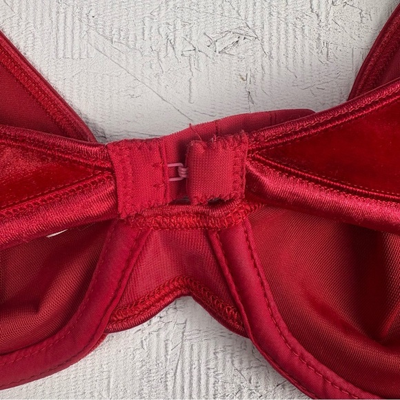 VTG Warner's "a little velvet" Red Velvet
Bra 36C No Padding - Very soft! - Picture 6 of 8